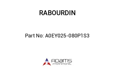 A0EY025-080P1S3
