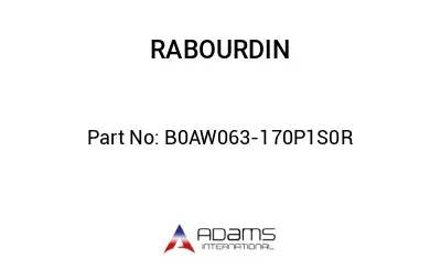 B0AW063-170P1S0R