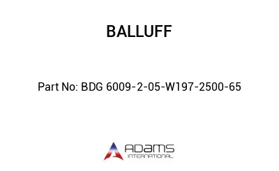 BDG 6009-2-05-W197-2500-65									