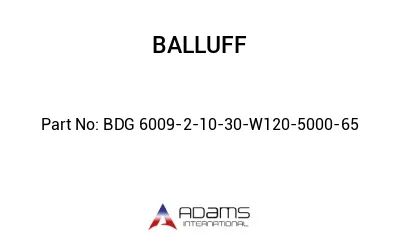BDG 6009-2-10-30-W120-5000-65									