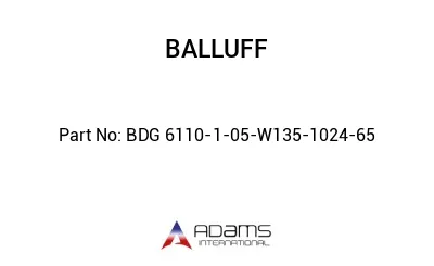 BDG 6110-1-05-W135-1024-65									