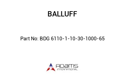 BDG 6110-1-10-30-1000-65									