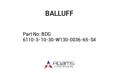 BDG 6110-3-10-30-W130-0036-65-S4									