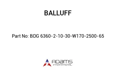 BDG 6360-2-10-30-W170-2500-65