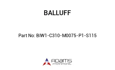 BIW1-C310-M0075-P1-S115									