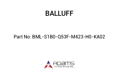 BML-S1B0-Q53F-M423-H0-KA02									