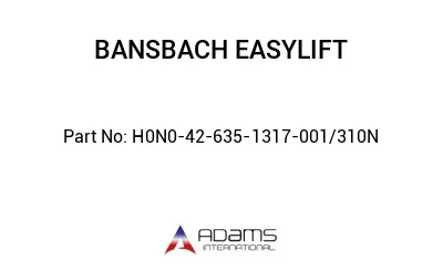 H0N0-42-635-1317--001-310N